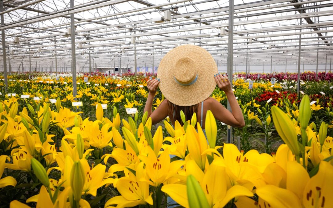 Wekelijkse openstelling testkas Onings